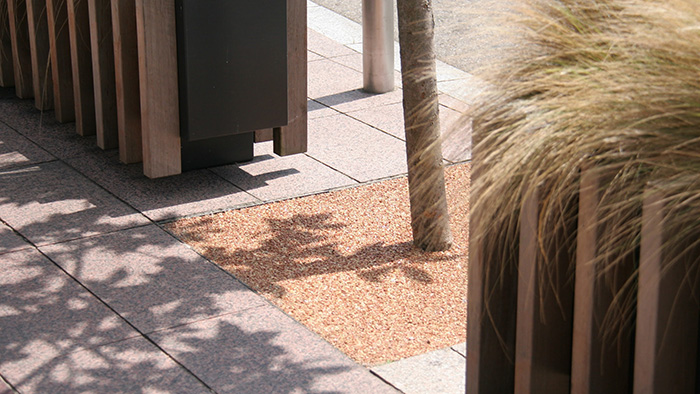 Read more about the article [Réalisation] Tours d’arbres en résine | Haute-Garonne