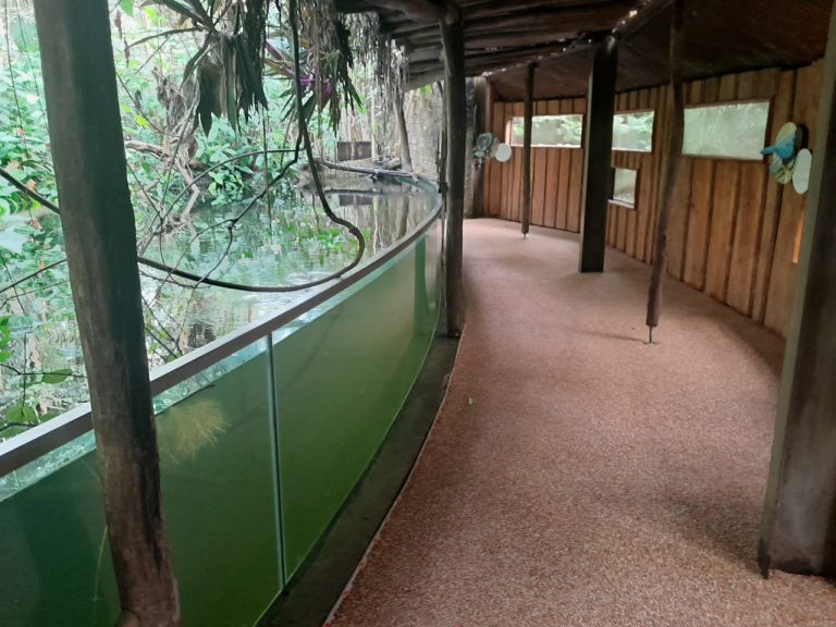 parc papillon suisse 2